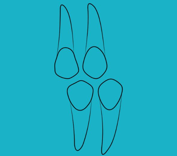 ΠΡΟ-ΓΟΜΦΙΟΣ